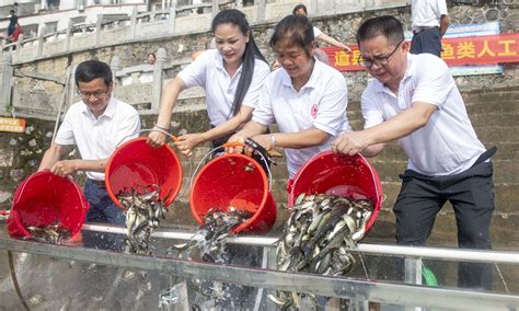 湖南肥水黑坑怎麼釣魚 當中蘊含的生態保護議題